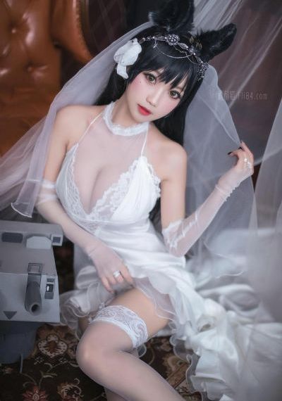 猪不戒_蓝光HD高清在线观看