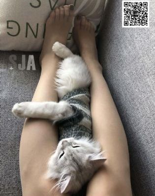 绮靡短剧免费观看_DVD在线观看视频