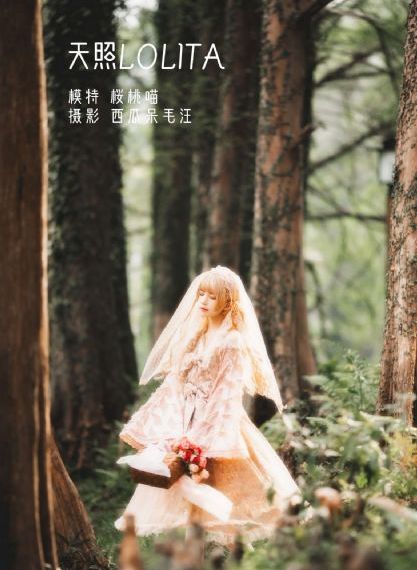 憧憬成为魔法少女全集免费_DVD神马在线观看